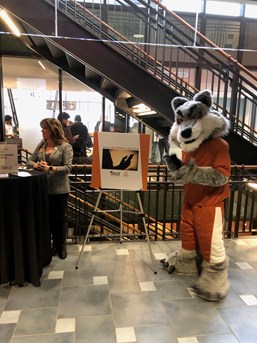 Lourdes University Mascot